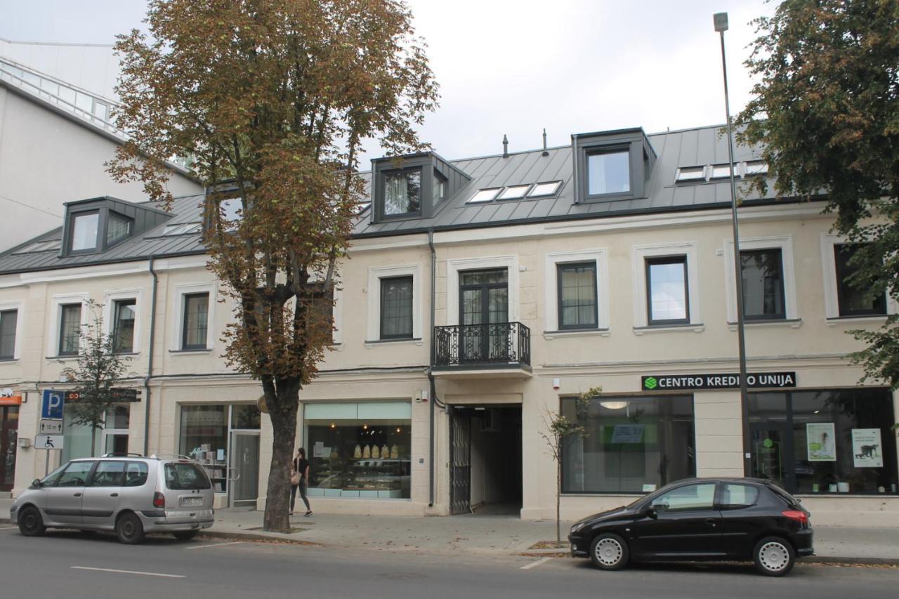 Smartflat & New Apartment City Center カウナス エクステリア 写真