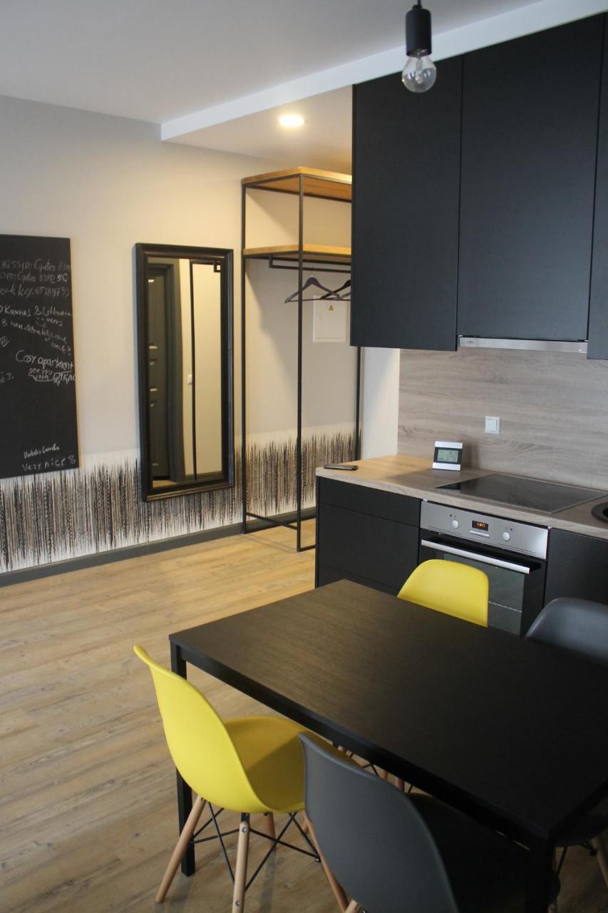 Smartflat & New Apartment City Center カウナス エクステリア 写真